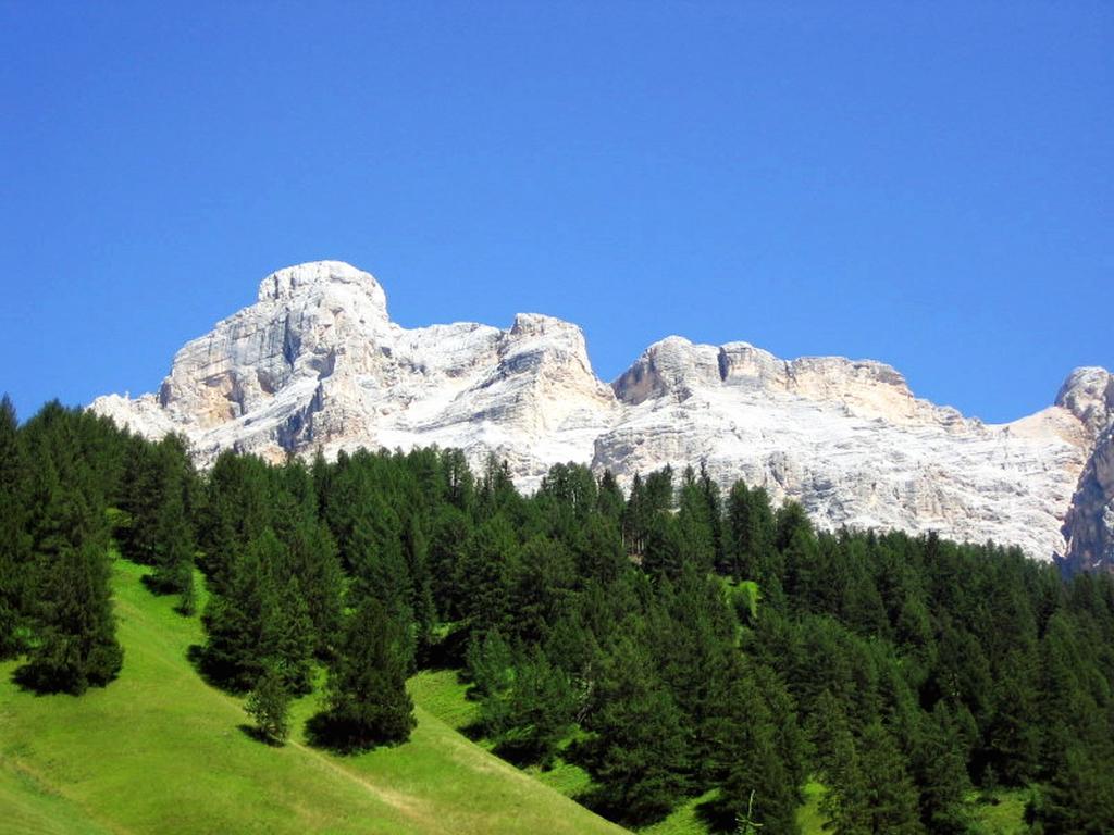 Ciasa Parom Apartment San Cassiano  Bilik gambar